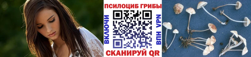 KRAKEN сайт Менделеевск Галлюциногенные грибы прущие грибы